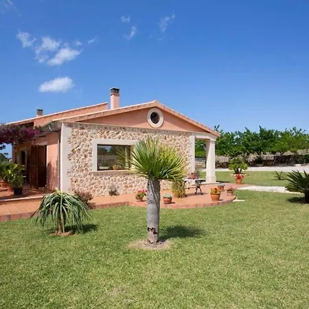 Schoene Mit Pool Im Olivenhain Holiday home